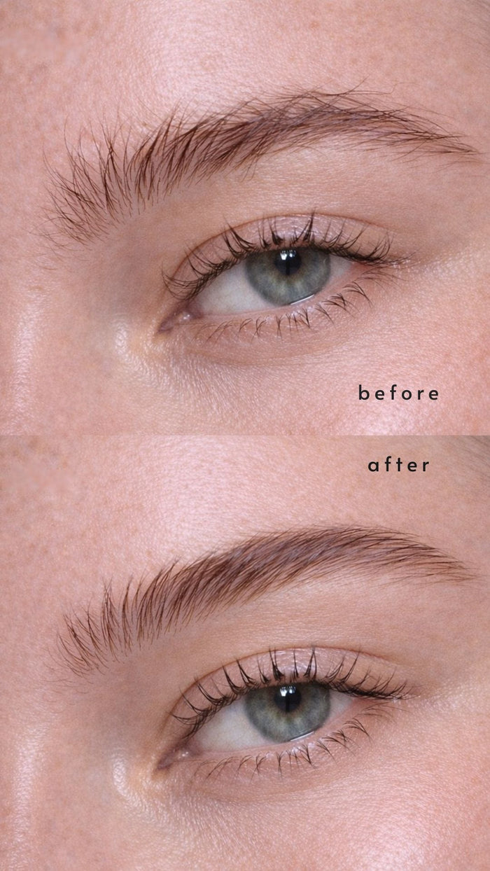 HIGHBROWS