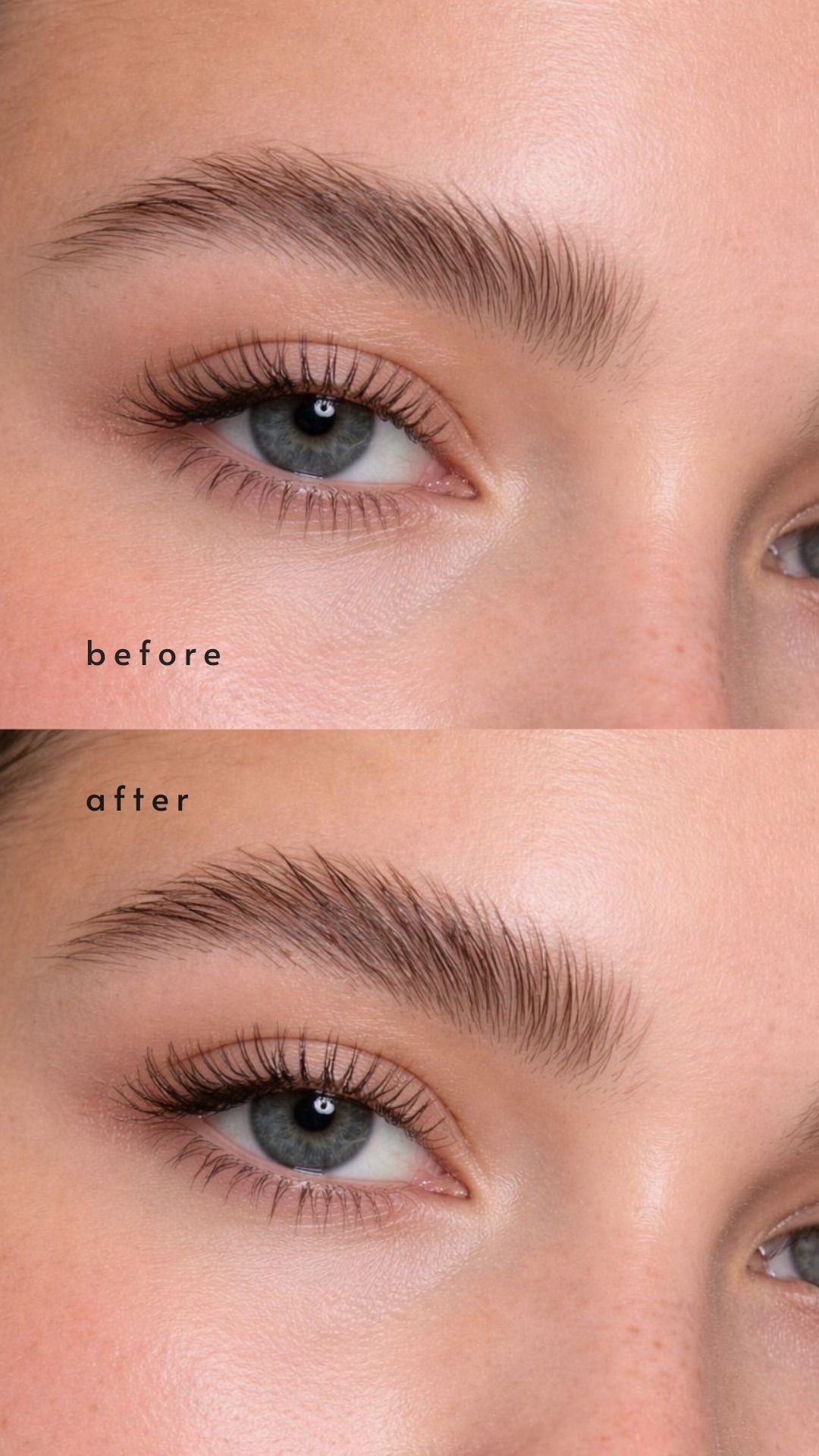 HIGHBROWS - Ola Cosmetics IL
