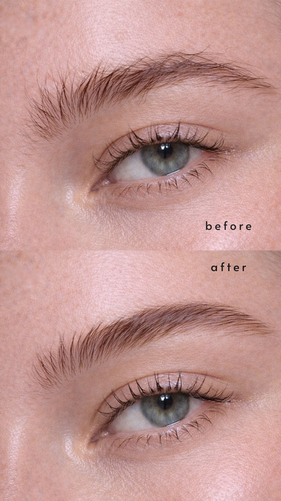 HIGHBROWS - Ola Cosmetics IL